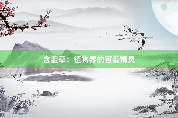 含羞草：植物界的害羞精灵