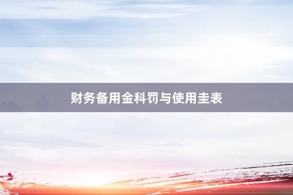 财务备用金科罚与使用圭表